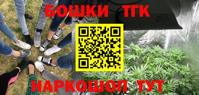 эйфоретик Будённовск